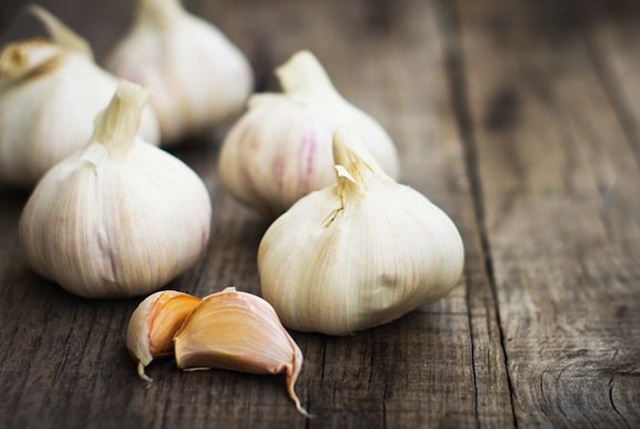 garlic for cold sores