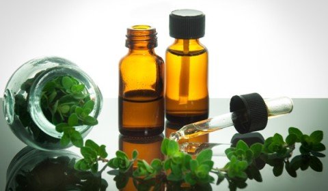 oregano oil for yeast infection