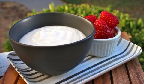 yogurt for yeast infection