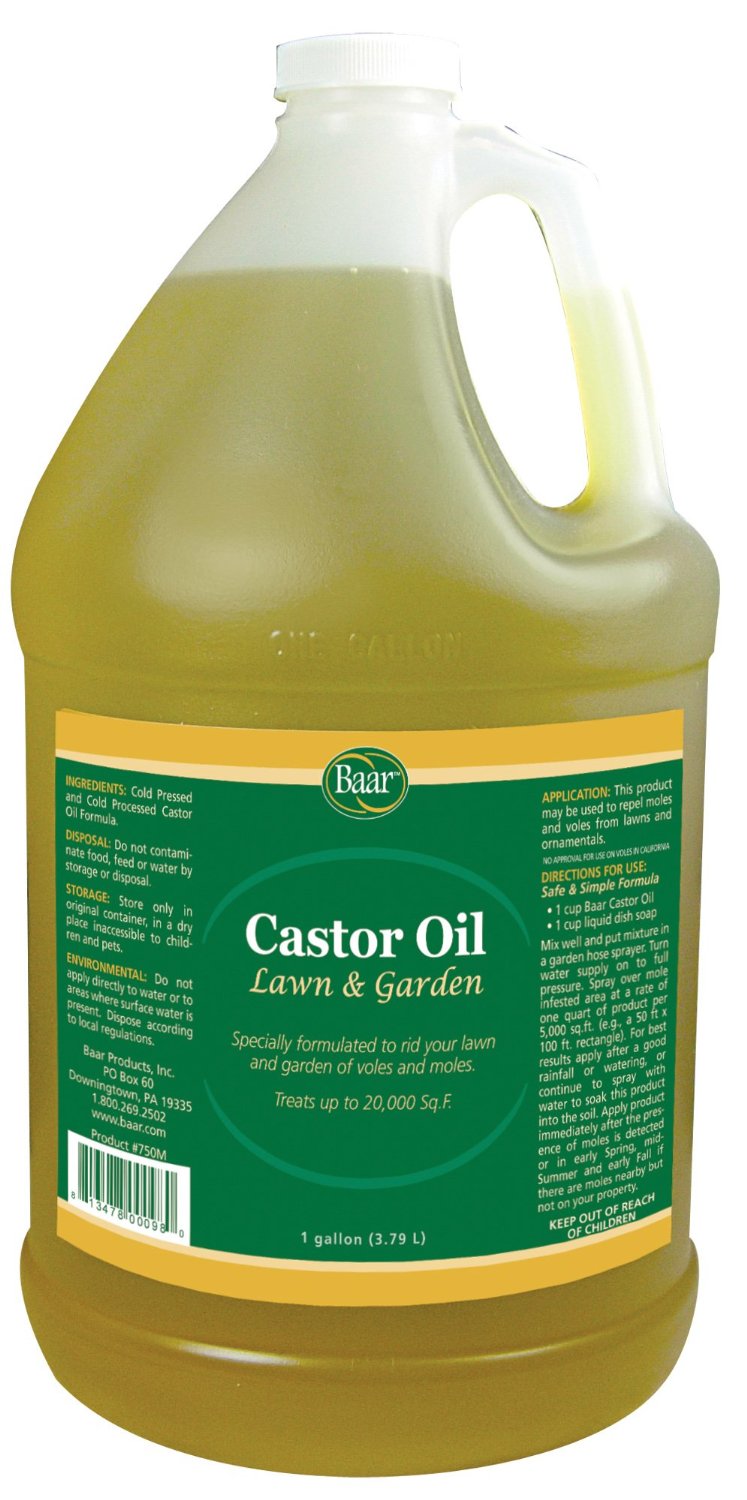 castor oil for moles