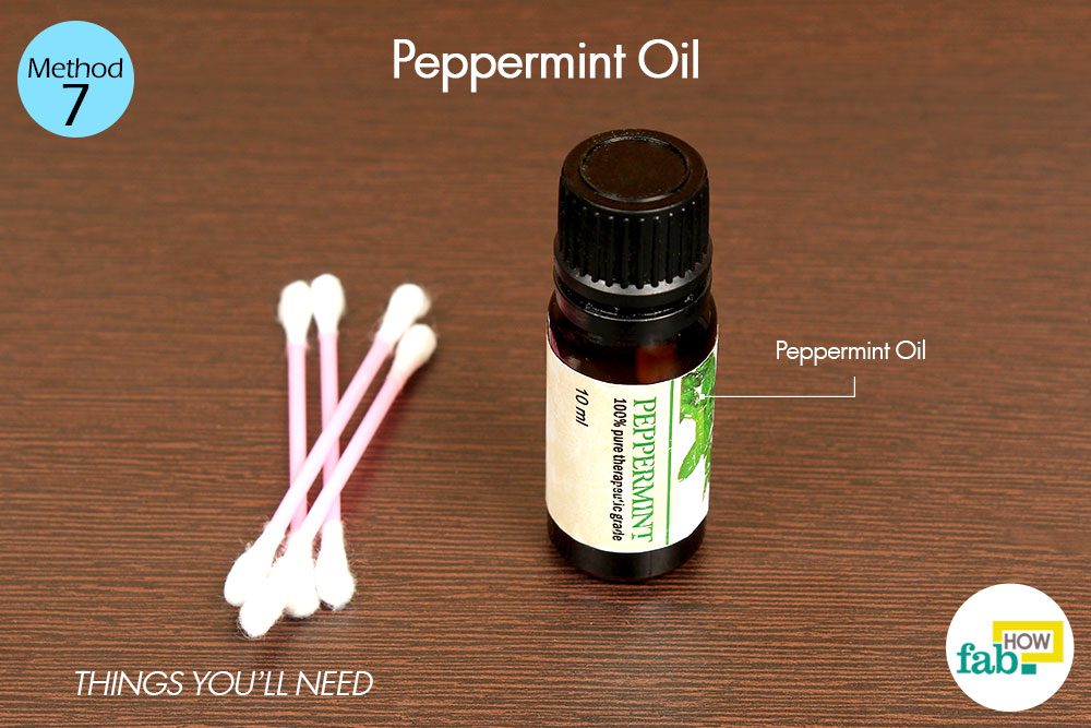 peppermint oil for fever blisters